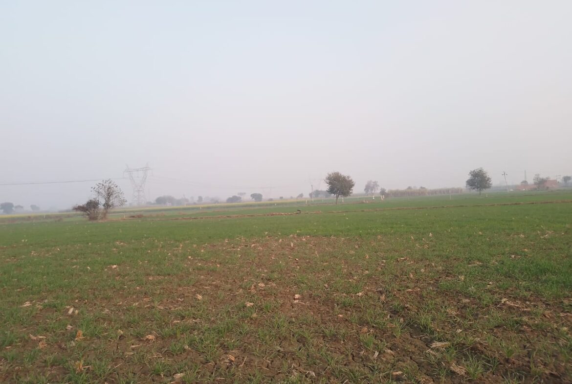 Agriculture Land in Baghpat