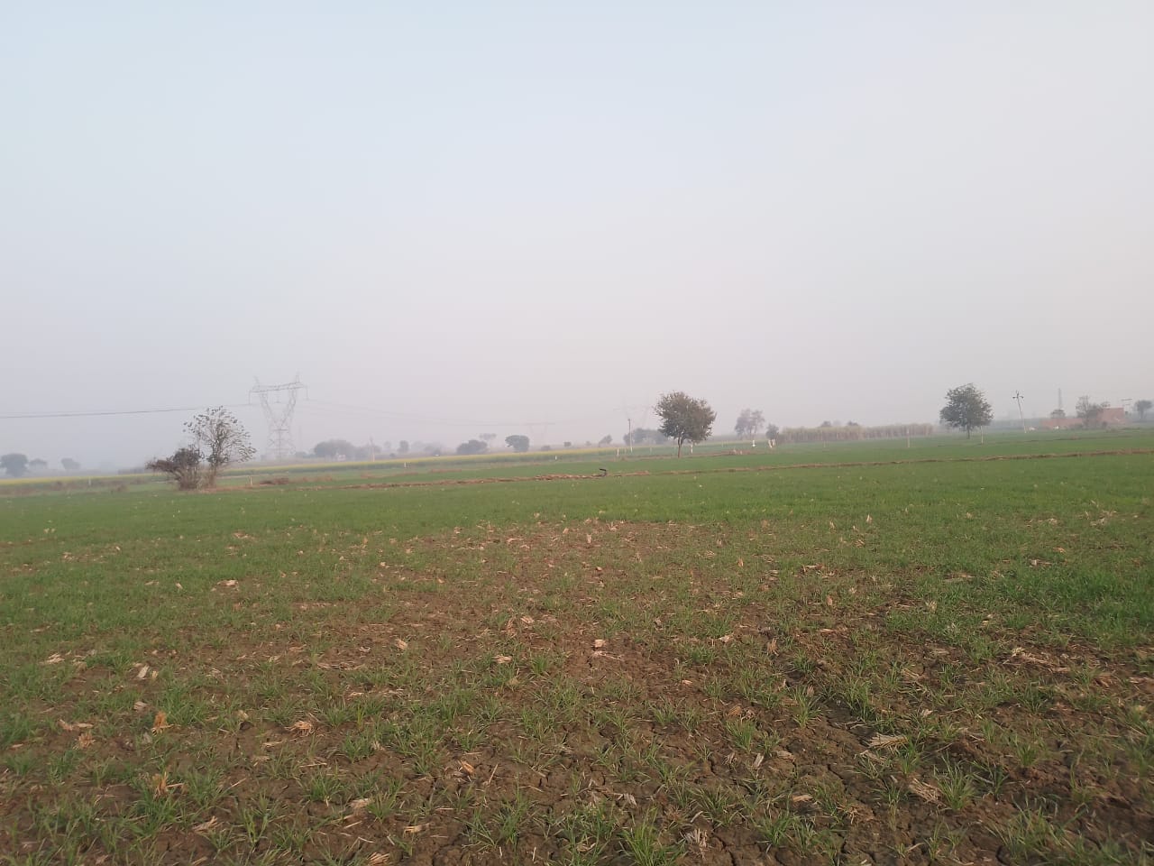 Agriculture Land in Baghpat