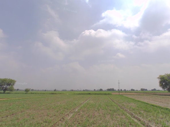 Baghpat Agriculture Land