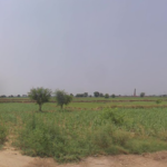 Baghpat Industrial Land