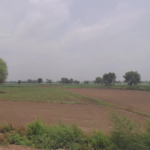 Industrial Land Baghpat Meerut Highway
